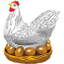Golden chicken